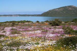 At The Rocks Guesthouse Langebaan Exterior foto